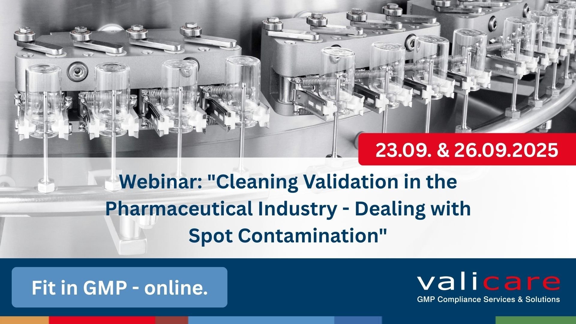 Webinar: Cleaning Validation